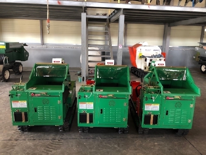 Àܰ¡ÁöÆÄ¼â±â-37